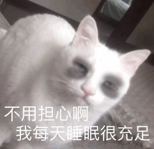 有哪些沙雕又很快乐的笑话
