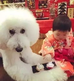 家里有小孩就不能养狗来看看这位老奶奶晒出小孙女的日常生活