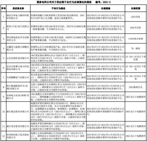 国家电网公司关于供应商不良行为处理情况的通报2021年6月