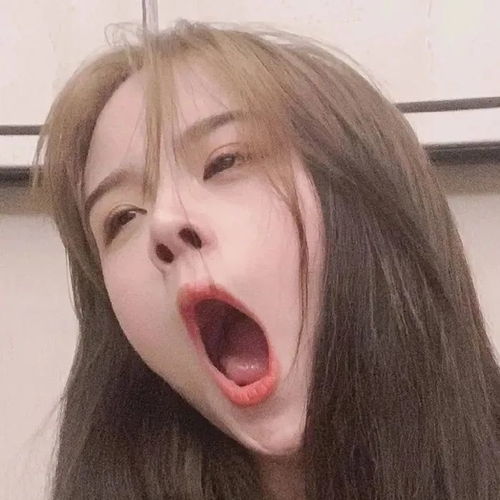 小众可可爱小头像沙雕味