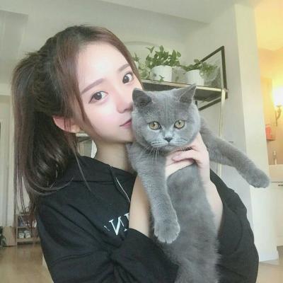 女生猫咪头像高级感小众欧美