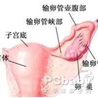 浅谈已婚女性容易引起附件炎的原因...