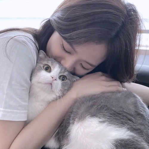 女生头像我们去吃全家桶吧