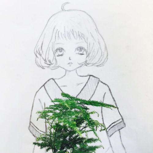 绿植女孩治愈系小清新壁纸头像素描