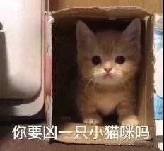 女生头像00后专用的表情包