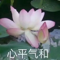 女生堕落的几大表现,中3条以上说明你在变丑