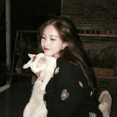 好看的女生头像