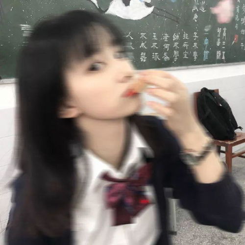 头像一路之下