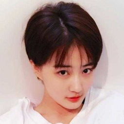 十大女星短发郑爽清纯可人,刘诗诗霸气御姐,刘美含帅气俊朗