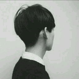 这个头像是情侣的吗