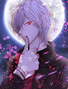 二次元不负少年时小说