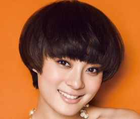 娱乐圈十大不整容的极品美女高圆圆孙俪刘亦菲赵薇