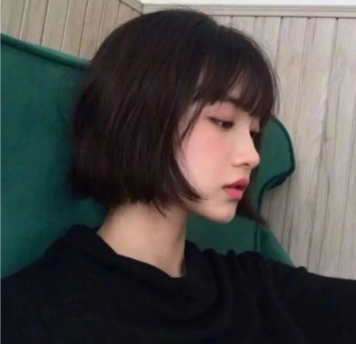 无标题