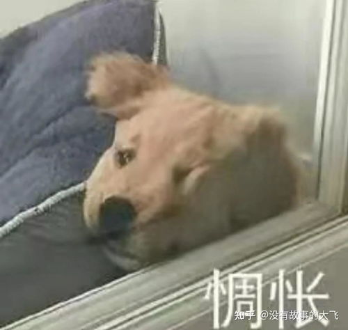 25岁男生至今单身,未来找对象是不是越来越困难了