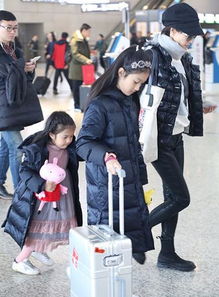 文章马伊琍带女儿回老家过年一家四口超温馨