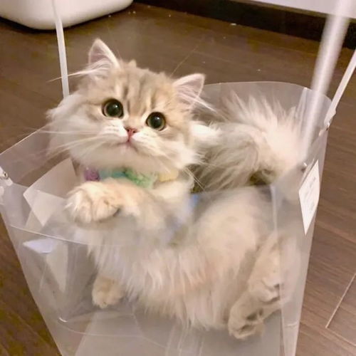 网易云热评