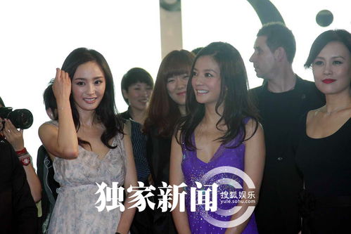 独家组图赵薇黑超现身霸气与众女星左右逢源