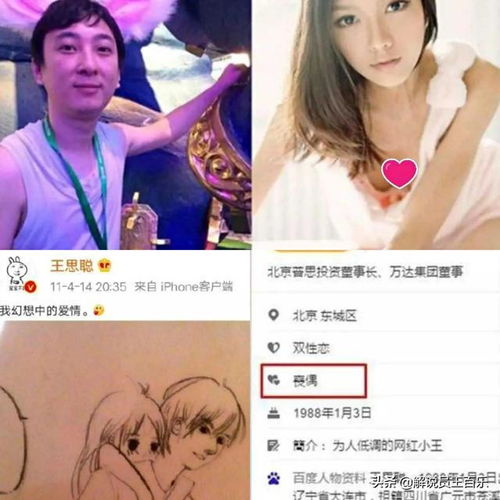 王思聪娱乐圈纪检委网红圈收割机的女友大盘点