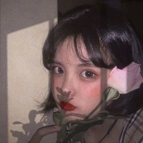 头像抱歉不如抱我