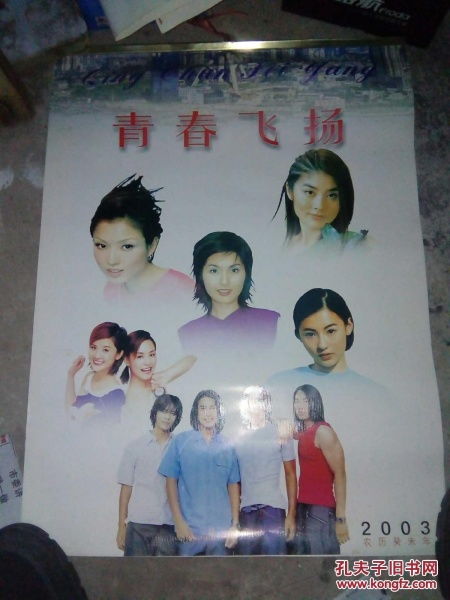 老挂历收藏2003年青春飞扬明星美女挂历箱a