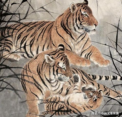 三大生肖过去几年生活过的窘迫,今年4月份以后有望脱贫致富