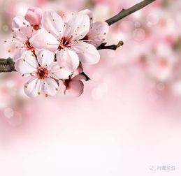 郁闷心烦,怎么办四种切实可行的好方法,不看就后悔