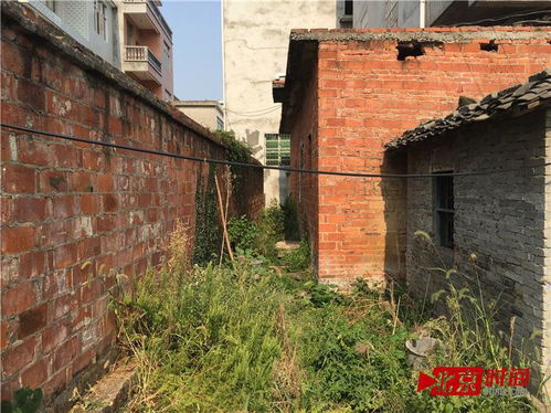 12岁粪坑藏尸水泥块掩埋,实在发人深省
