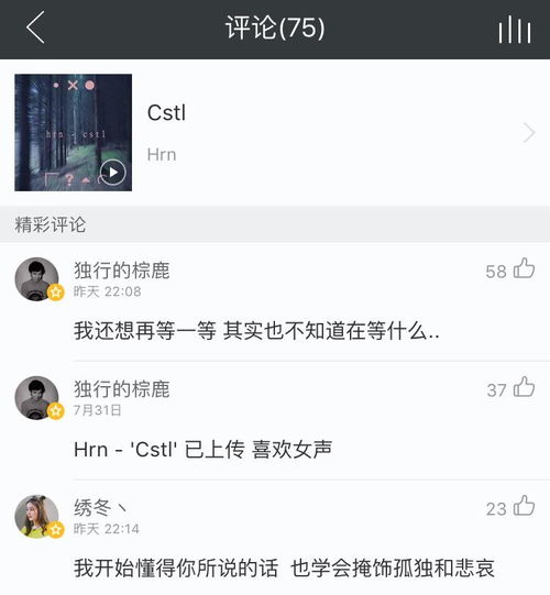 如何评价网易云用户独行的棕鹿