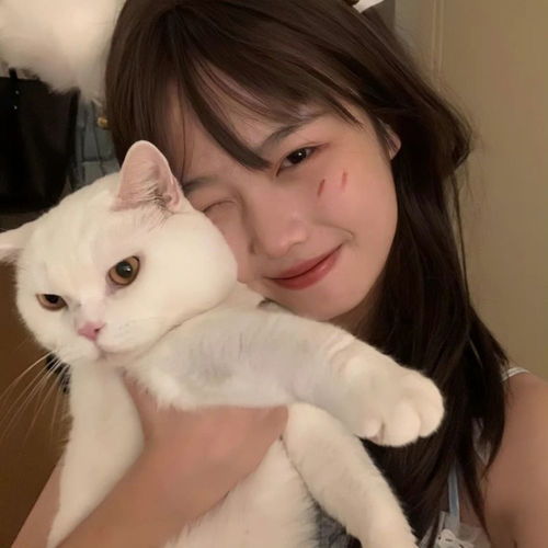 精选优质温柔小众好看的女生头像306