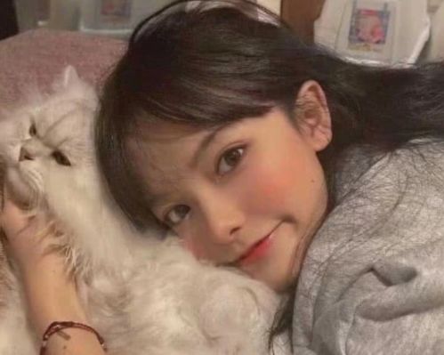 女头像是猫说明单身雪莉