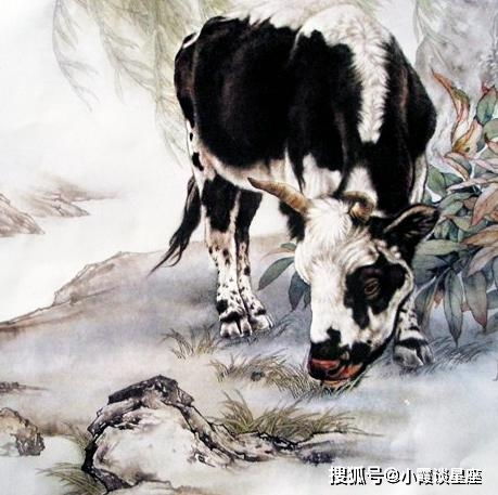 生肖牛子鼠年哪方面运气最好福旺财旺运道旺,今年更比去年强
