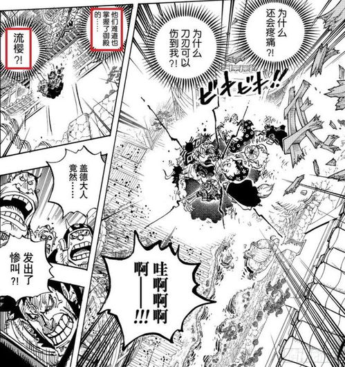 世界第一名师疑暗藏私货,冥王雷利为何不教路飞高阶霸气