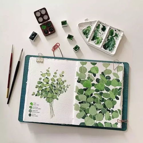 插画师yirangkim笔下的植物手绘,让你的心情得到治愈水彩插画小清新
