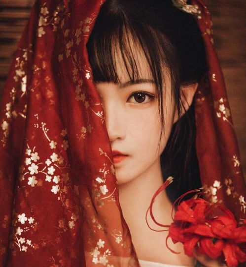 完胜帝凰之神医弃妃,千苒君笑这部文逆袭登榜,文笔口碑超燃