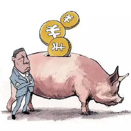 刘永好将投88亿养猪学华为削足适履