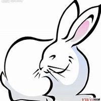 属猪的人做微商用哪个头像好看微信头像图片大全