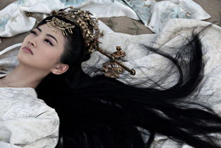 堆糖,美好生活研究所