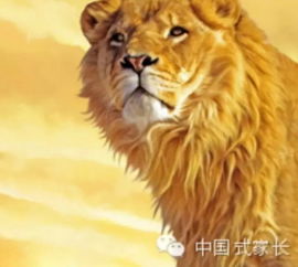家教小故事不要和老鼠比赛