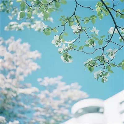 2023最新浪漫小清新风景头像