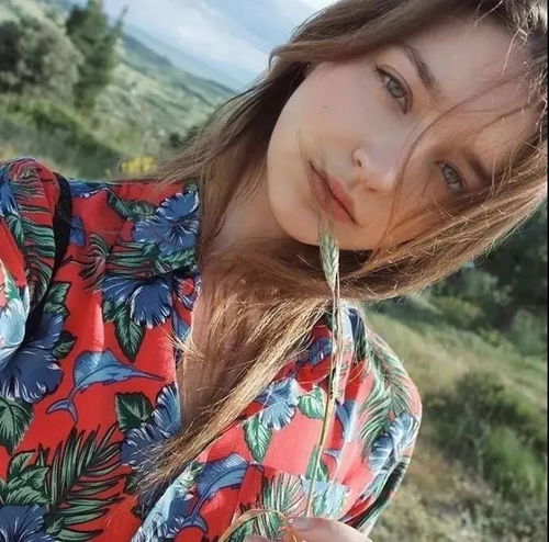 头像我本来是要行走江湖,但看见你我可以先停一停