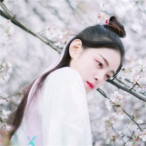 古风头像女生头像森系唯美小清新文艺堆糖,美好生活研究所