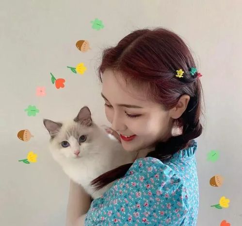 抱猫咪头像太赞了