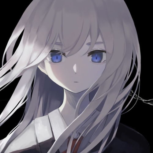 无标题