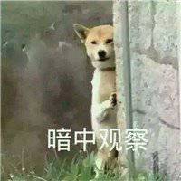 微信头像单身狗男生头像微信头像图片大全
