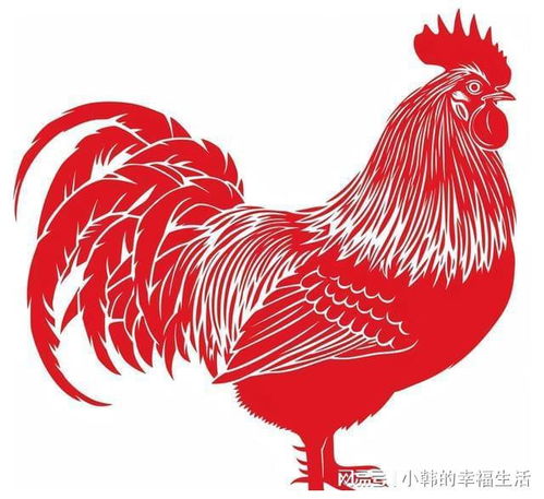 夫妻中有一人属鸡,后代多福,子女必成大器,是栋梁之才