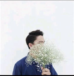 求男生手捧满天星漏半张脸的高清图,