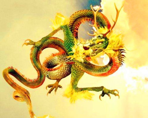今年2021年好事一桩接一桩,喜添贵子,福气一触即发的4个生肖