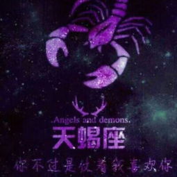 江湖小姐逐浪小说