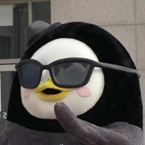 女生头像搞怪沙雕头像顺遂