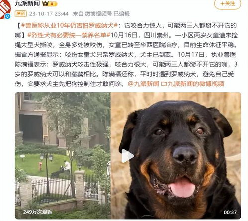 成都2岁女孩被恶犬撕咬后续,她和妈妈被骂活该